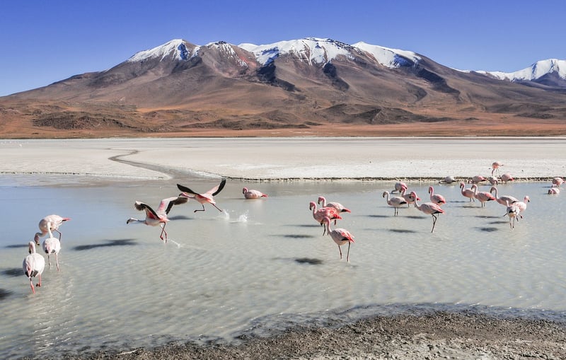 Aconcagua