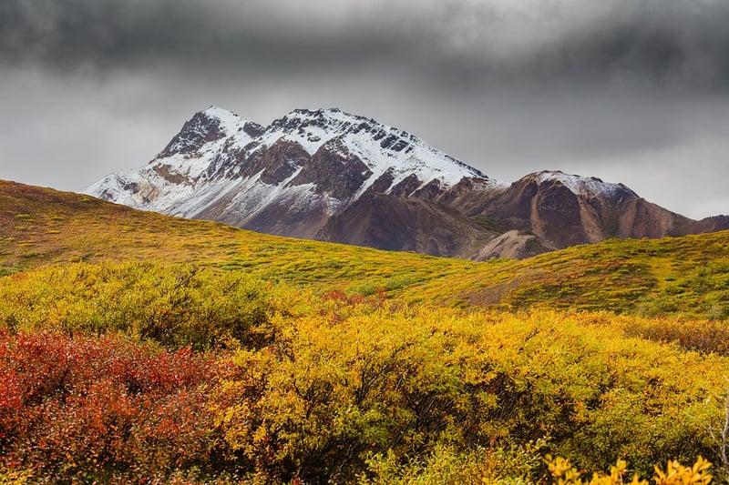 Mount Denali