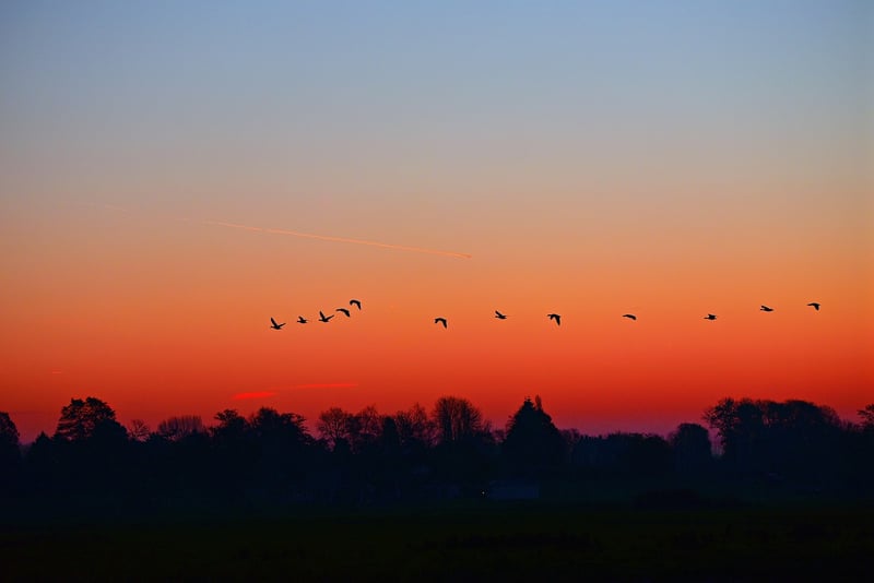 Scenic Sunrise